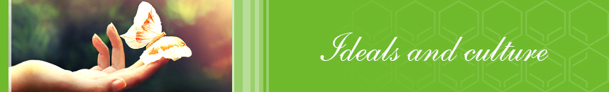 top banner